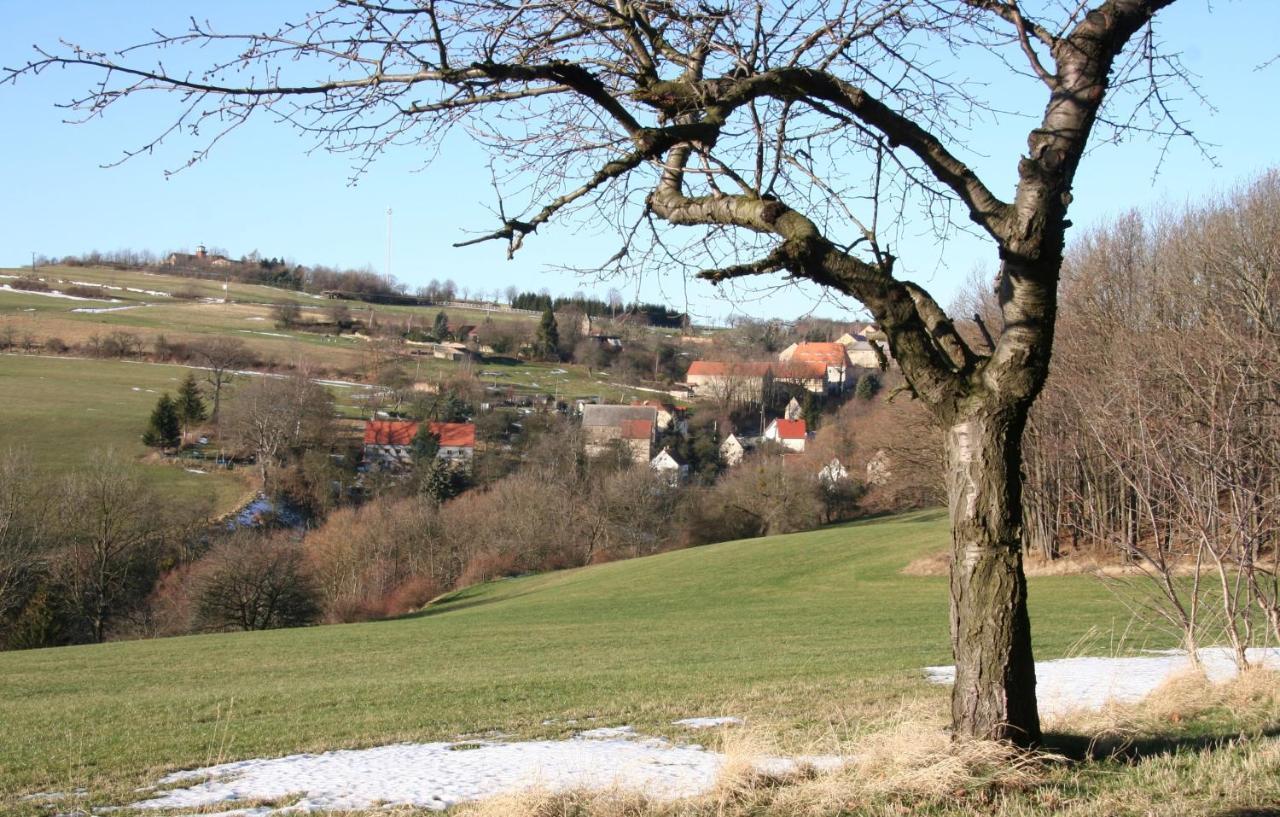 Fachwerkhaus Maxen Villa Muglitztal Exterior photo